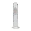 LED Vibrating Straight Cock - 20 cm - Transparent